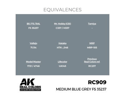 Real Colors: Medium Blue Grey FS 35237 17 ml. 