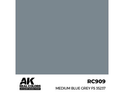 Real Colors: Medium Blue Grey FS 35237 17 ml. 