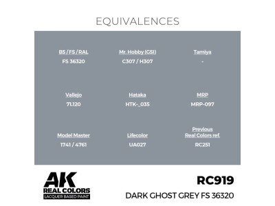 Real Colors: Dark Ghost Grey FS 36320 17 ml. 