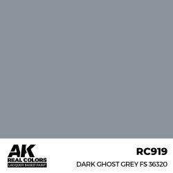 Real Colors: Dark Ghost Grey FS 36320 17 ml.  2