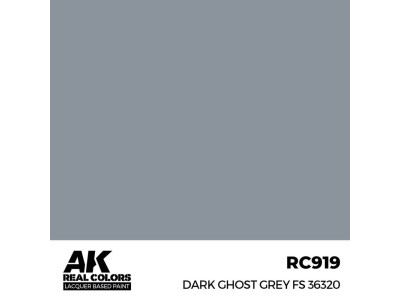 Real Colors: Dark Ghost Grey FS 36320 17 ml. 