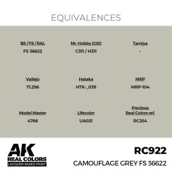 Real Colors: Camouflage Grey FS 36622 17 ml. 