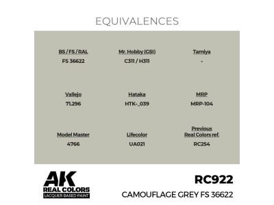 Real Colors: Camouflage Grey FS 36622 17 ml. 