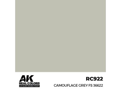 Real Colors: Camouflage Grey FS 36622 17 ml. 