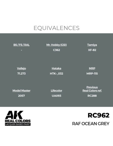 Real Colors: RAF Ocean Grey 17 ml. 