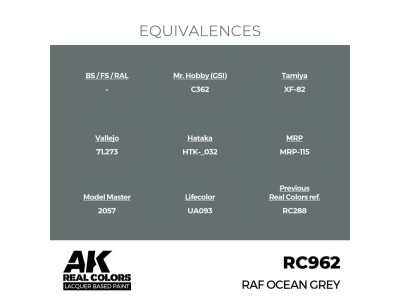 Real Colors: RAF Ocean Grey 17 ml. 