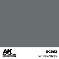 Real Colors: RAF Ocean Grey 17 ml.  2