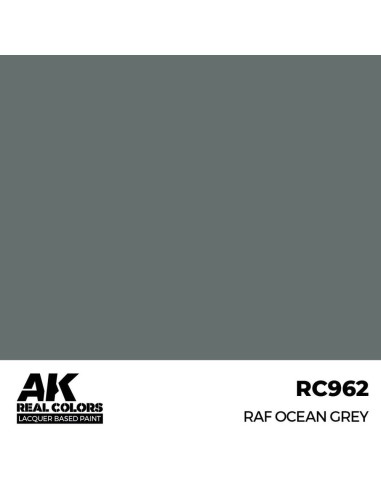 Real Colors: RAF Ocean Grey 17 ml. 