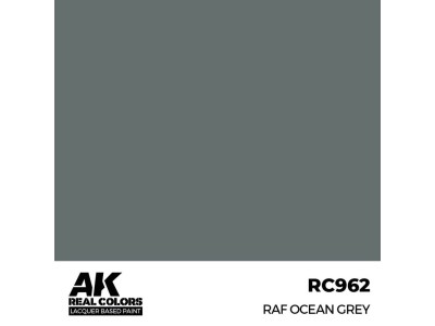Real Colors: RAF Ocean Grey 17 ml. 