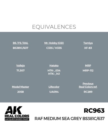 Real Colors: RAF Medium Sea Grey BS381C/637 17 ml. 