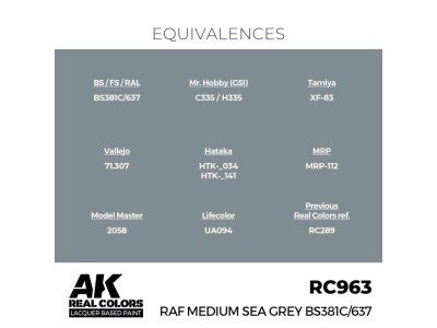 Real Colors: RAF Medium Sea Grey BS381C/637 17 ml. 