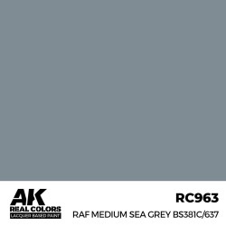 Real Colors: RAF Medium Sea Grey BS381C/637 17 ml.  2