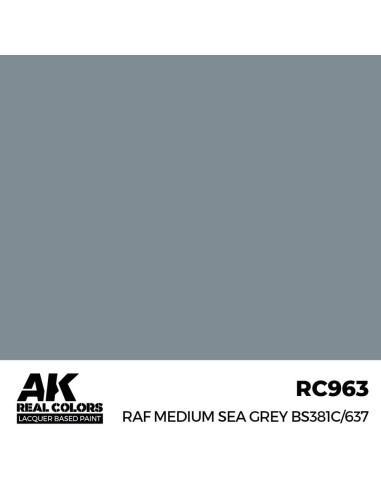 Real Colors: RAF Medium Sea Grey BS381C/637 17 ml. 