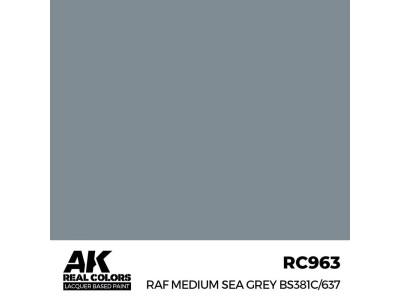 Real Colors: RAF Medium Sea Grey BS381C/637 17 ml. 