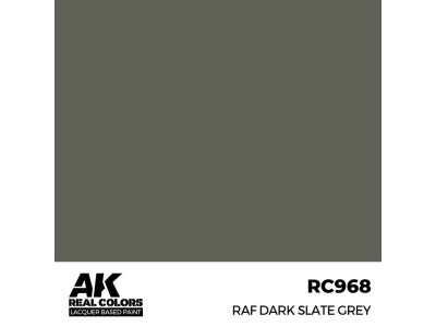 Real Colors: RAF Dark Slate Grey 17 ml. 