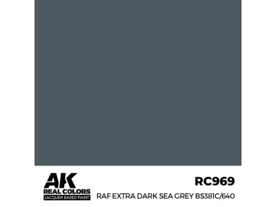 Real Colors: RAF Extra Dark Sea Grey BS381C/640 17 ml. 