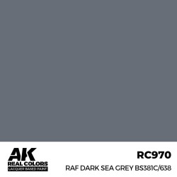 Real Colors: RAF Dark Sea Grey BS381C/638 17 ml.  2