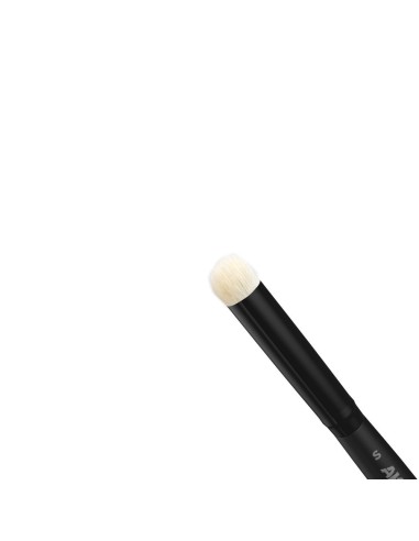 DRY BRUSHES SET 