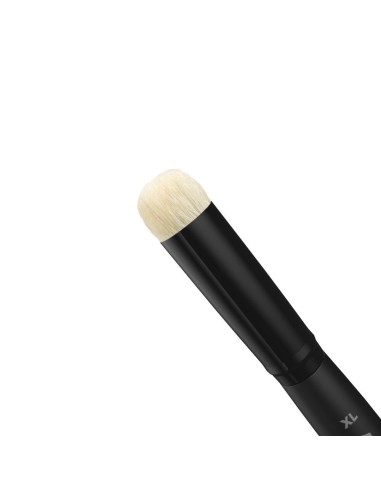 DRY BRUSHES SET 
