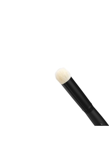 DRY BRUSHES SET 