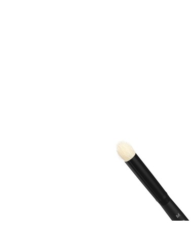DRY BRUSHES SET 