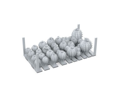 CACTUS BARREL - BASING BITS 20 pieces 
