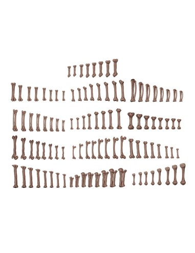 HUMAN BONES - BASING BITS 120 pieces 