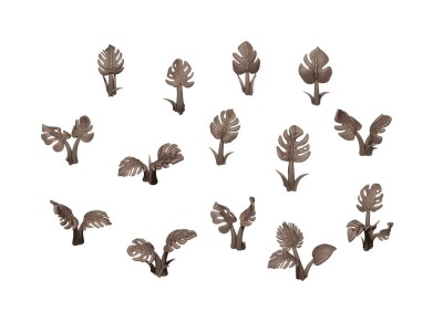 MONSTERA 