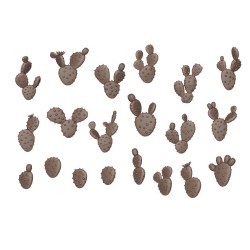 NOPAL CACTUS  2