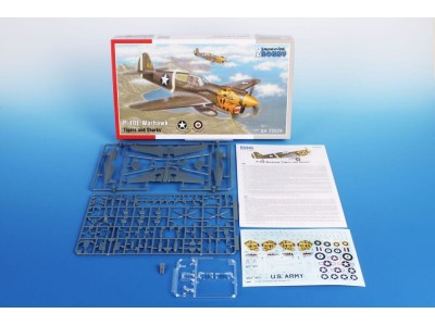 P-40E Warhawk 'Tigers and Sharks' 