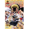 ONE PIECE - Edition originale - Tome 79