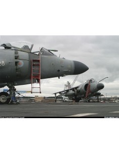 Step ladders for Hunter and Harrier  2
