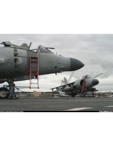 Step ladders for Hunter and Harrier 