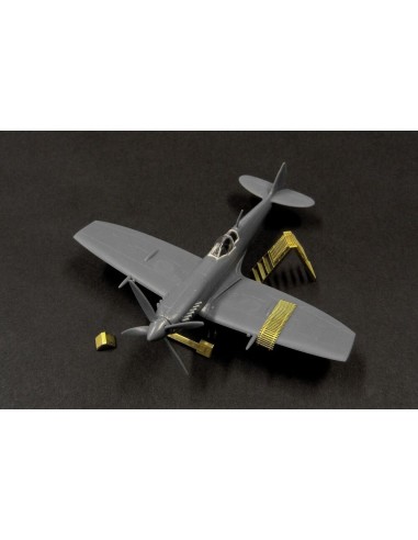 SPITFIRE IX maintenance access s (Eduard) 