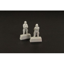 Japanese pilot WWII -(two pieces)  2