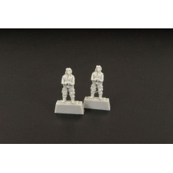 Japanese pilot WWII -(two pieces) 
