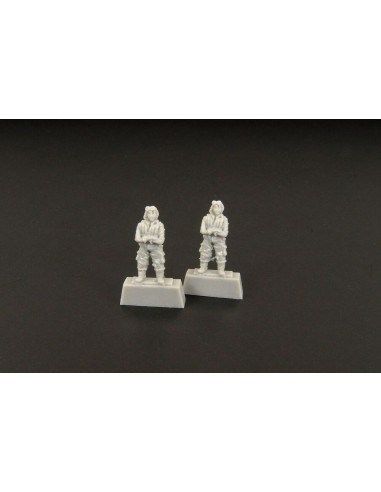 Japanese pilot WWII -(two pieces) 