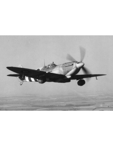 Beer Spitfire Mk IX 