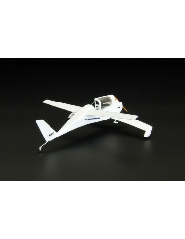 Rutan Quickie 