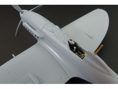 Reggiane Re 2005 (RS models) 