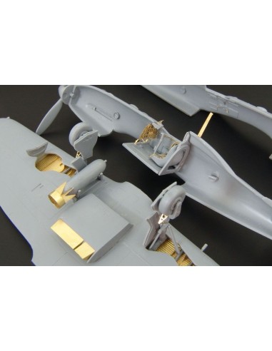 Reggiane Re 2005 (RS models) 