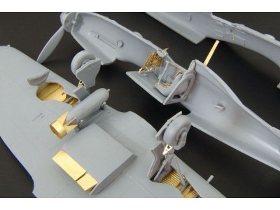 Reggiane Re 2005 (RS models) 