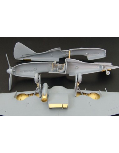 Reggiane Re 2005 (RS models) 