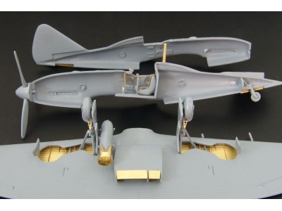 Reggiane Re 2005 (RS models) 