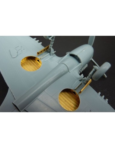 P-40 K  (SWORD) 