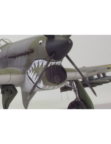 Typhoon air intake mesh (Airfix) 