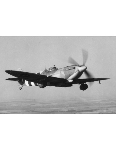 Beer Spitfire Mk IX 