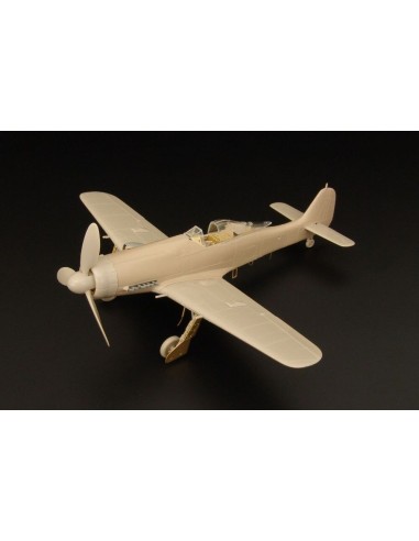 FW-190D-11-13 (AZ model) 