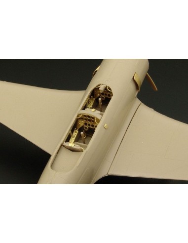 Jak 11- Let C-11 (RS Models kit) 