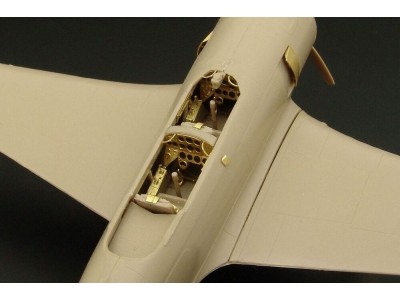 Jak 11- Let C-11 (RS Models kit) 